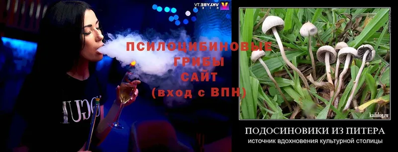 Галлюциногенные грибы MAGIC MUSHROOMS  Невельск 